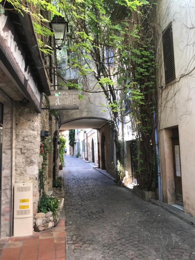 Antibes Tres Belle Situation ! Lejlighed Eksteriør billede