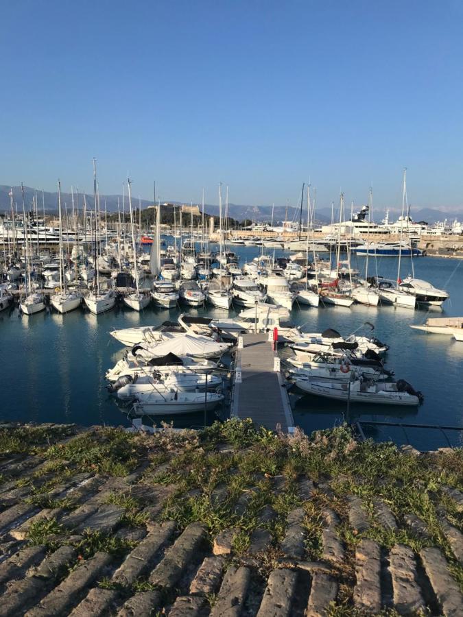 Antibes Tres Belle Situation ! Lejlighed Eksteriør billede