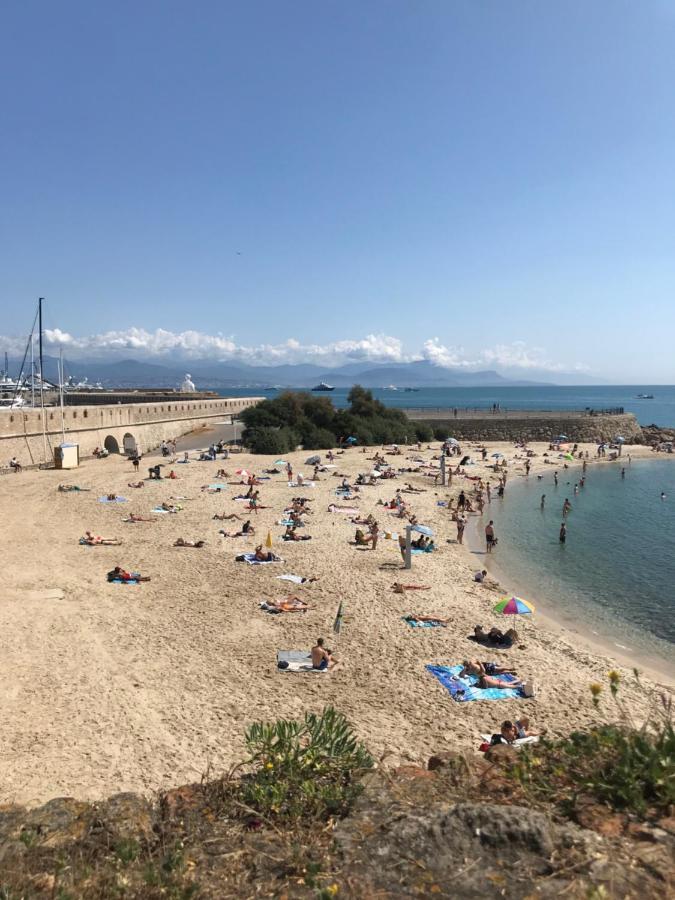 Antibes Tres Belle Situation ! Lejlighed Eksteriør billede