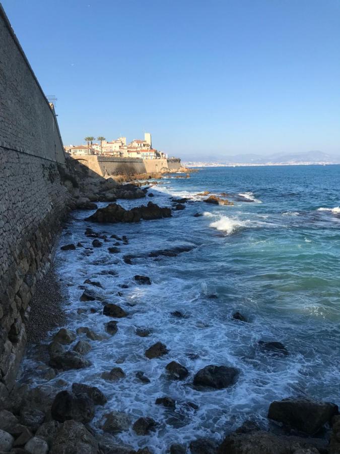 Antibes Tres Belle Situation ! Lejlighed Eksteriør billede